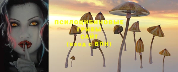 соль курить ск Медногорск